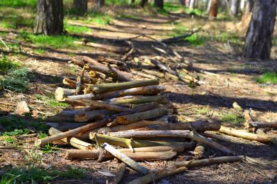 Прикрепленное изображение: DSC_3498.JPG